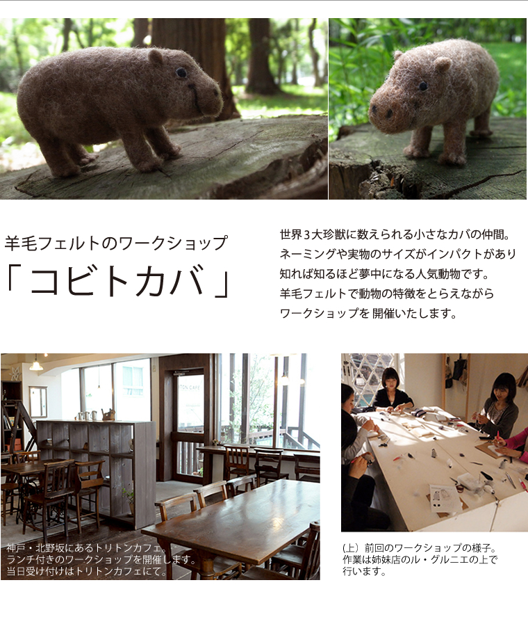 コビトカバ